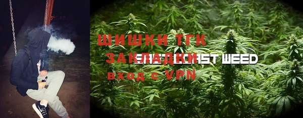 дживик Алексин