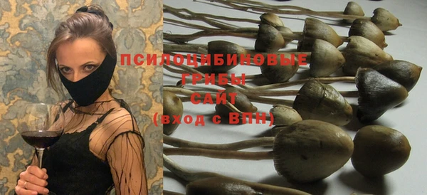 дживик Алексин